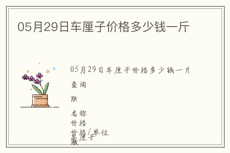 05月29日車厘子價格多少錢一斤