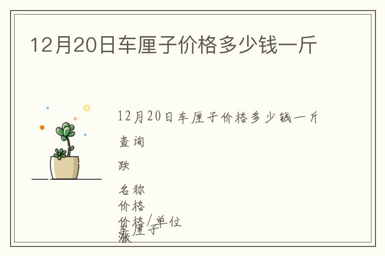 12月20日車?yán)遄觾r格多少錢一斤