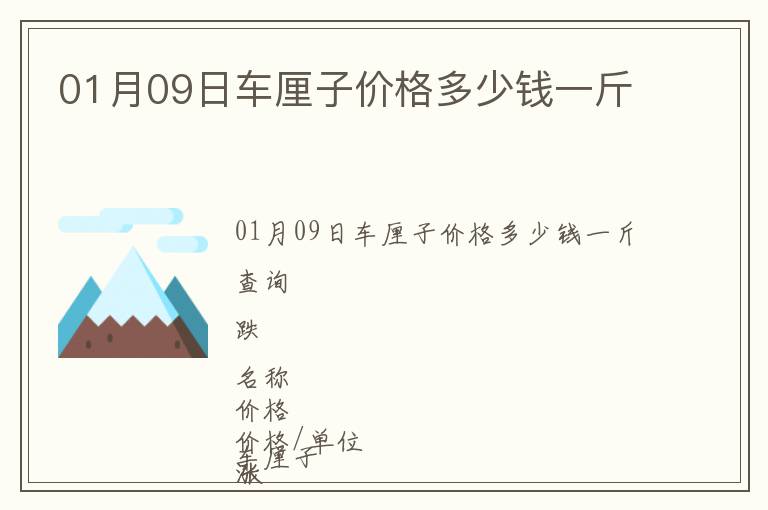 01月09日車?yán)遄觾r(jià)格多少錢一斤