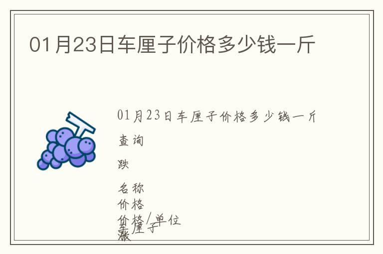 01月23日車?yán)遄觾r格多少錢一斤