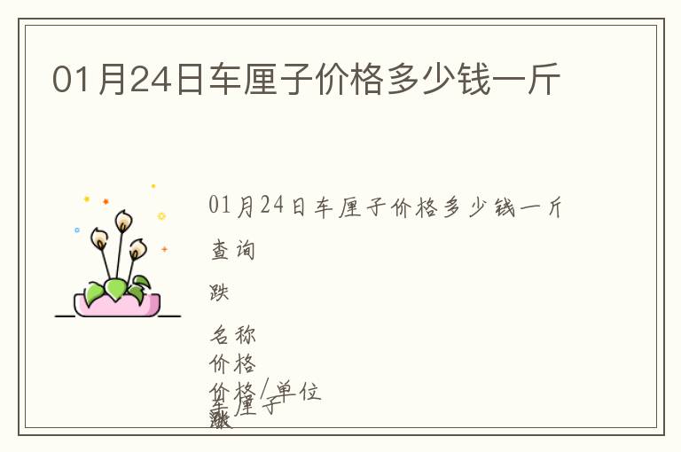 01月24日車厘子價格多少錢一斤