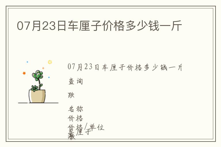 07月23日車厘子價格多少錢一斤