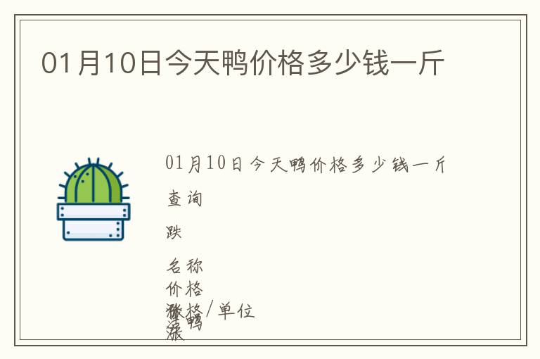 01月10日今天鴨價格多少錢一斤