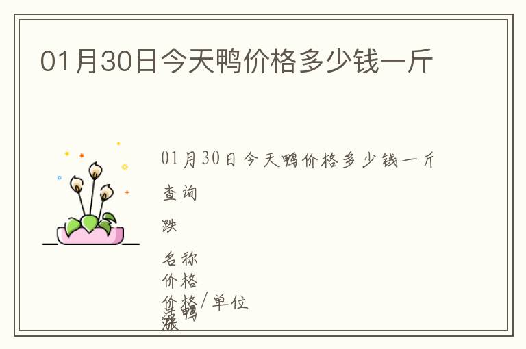 01月30日今天鴨價(jià)格多少錢(qián)一斤