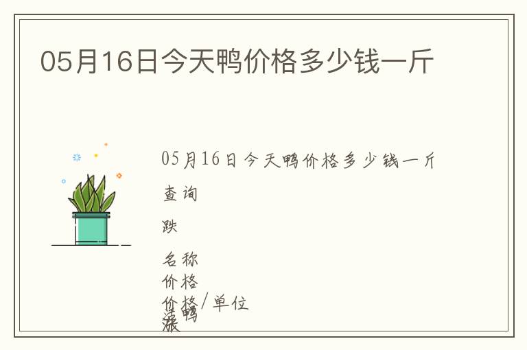 05月16日今天鴨價格多少錢一斤