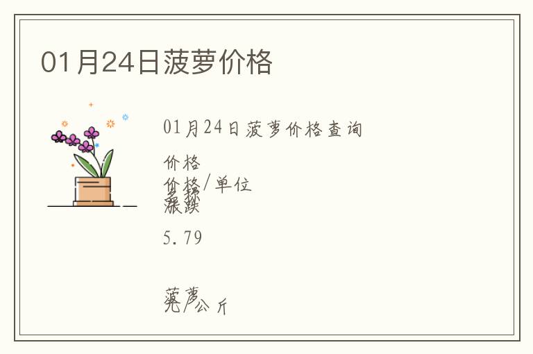 01月24日菠蘿價格