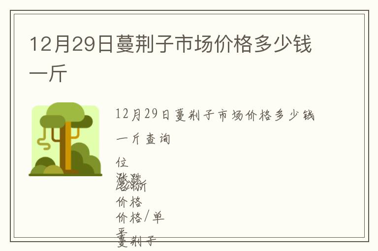 12月29日蔓荊子市場價格多少錢一斤