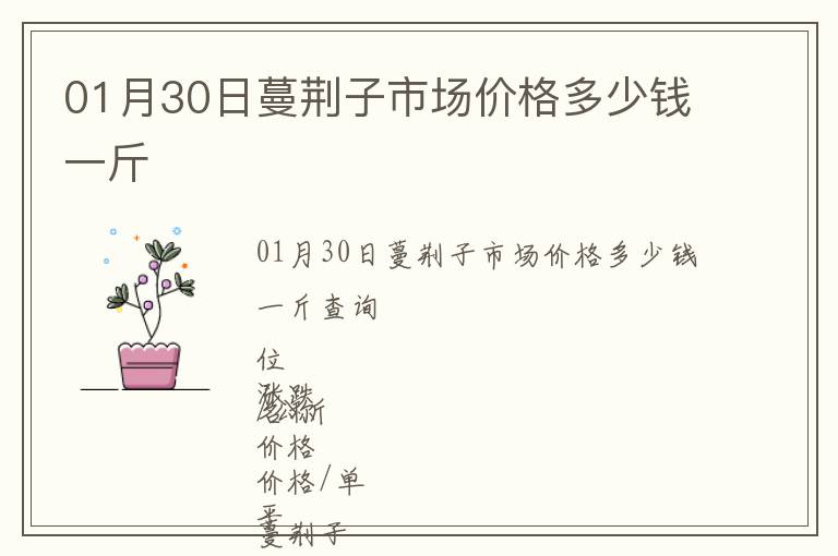 01月30日蔓荊子市場價格多少錢一斤