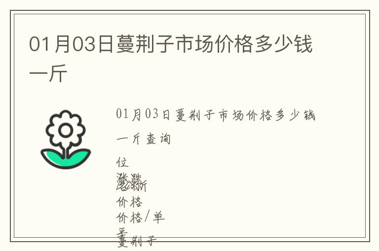 01月03日蔓荊子市場價格多少錢一斤