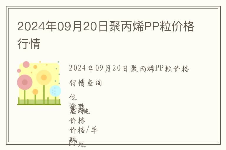 2024年09月20日聚丙烯PP粒價格行情