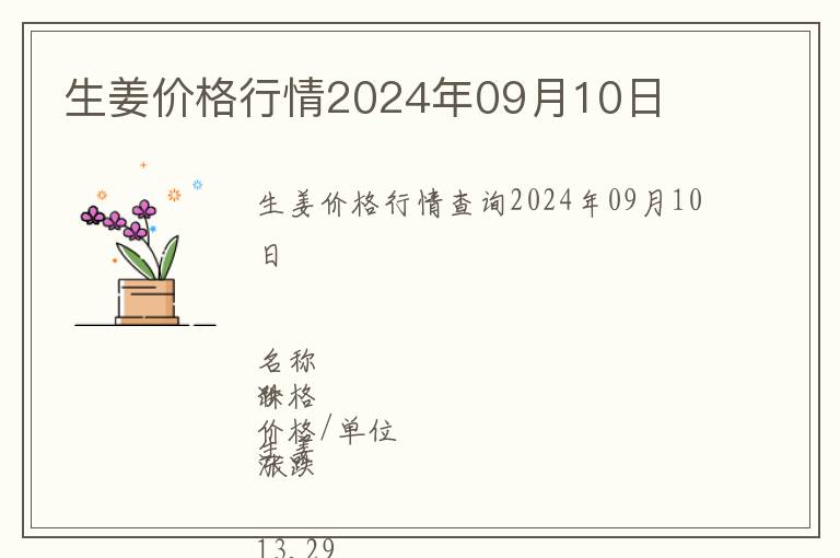 生姜價格行情2024年09月10日