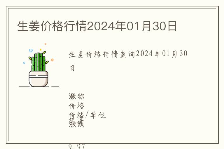 生姜價(jià)格行情2024年01月30日