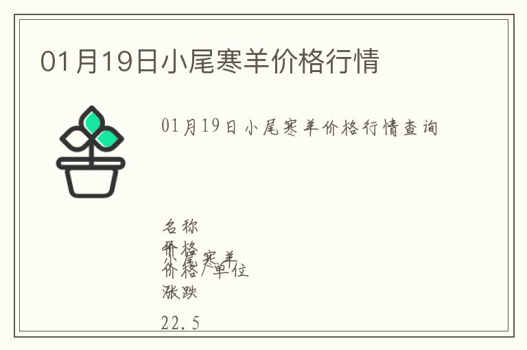 01月19日小尾寒羊價格行情