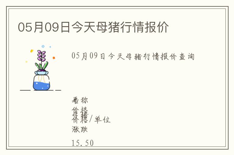05月09日今天母豬行情報價