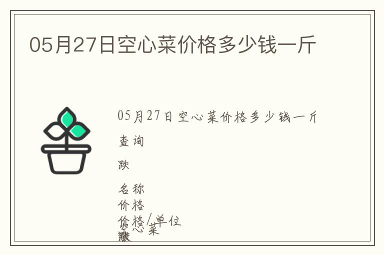 05月27日空心菜價格多少錢一斤