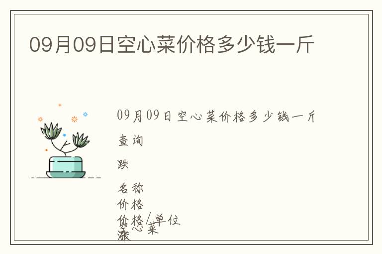 09月09日空心菜價格多少錢一斤