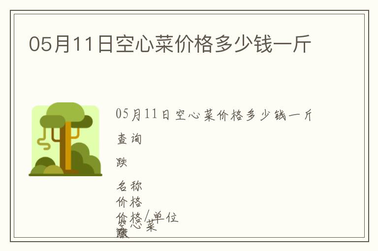 05月11日空心菜價格多少錢一斤