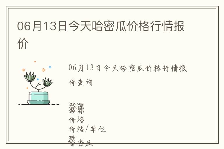 06月13日今天哈密瓜價(jià)格行情報(bào)價(jià)