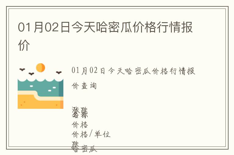 01月02日今天哈密瓜價格行情報價