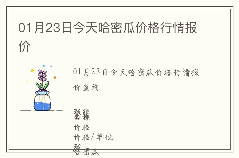 01月23日今天哈密瓜價格行情報價