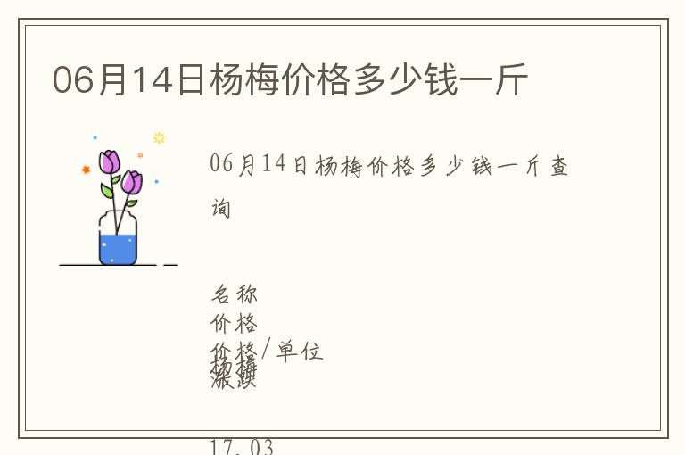 06月14日楊梅價格多少錢一斤
