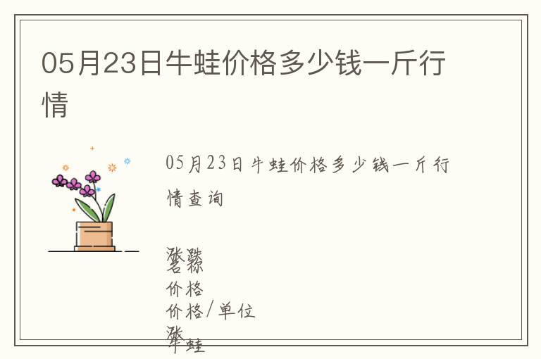 05月23日牛蛙價格多少錢一斤行情
