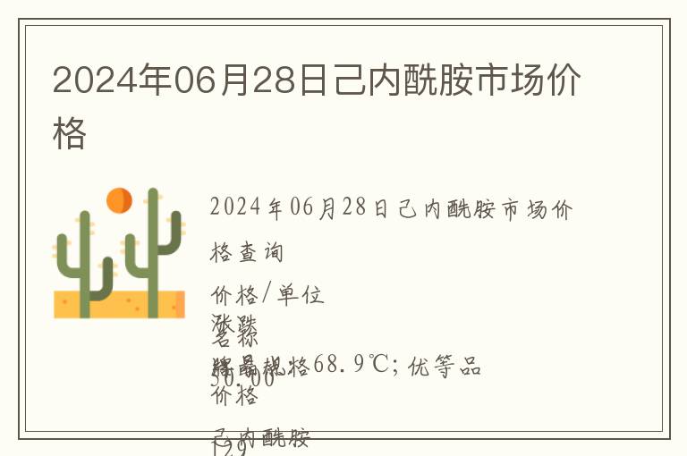 2024年06月28日己內酰胺市場價格