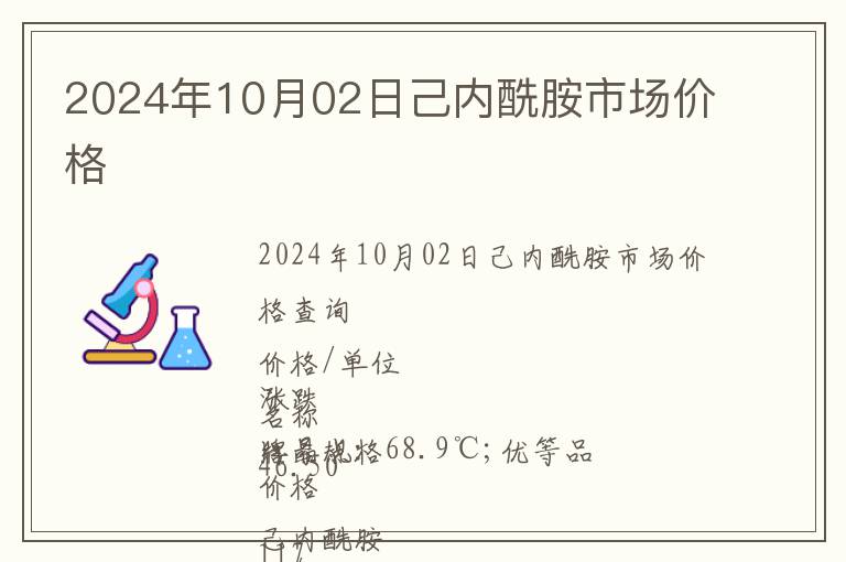 2024年10月02日己內酰胺市場價格