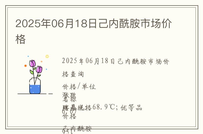 2025年06月18日己內(nèi)酰胺市場價(jià)格