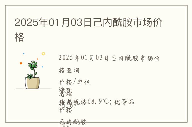 2025年01月03日己內酰胺市場價格