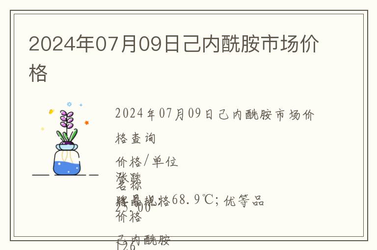 2024年07月09日己內酰胺市場價格