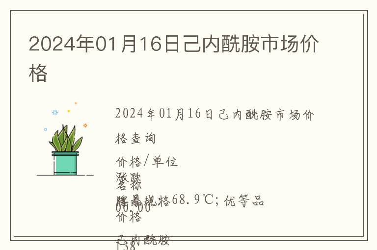2024年01月16日己內(nèi)酰胺市場價格