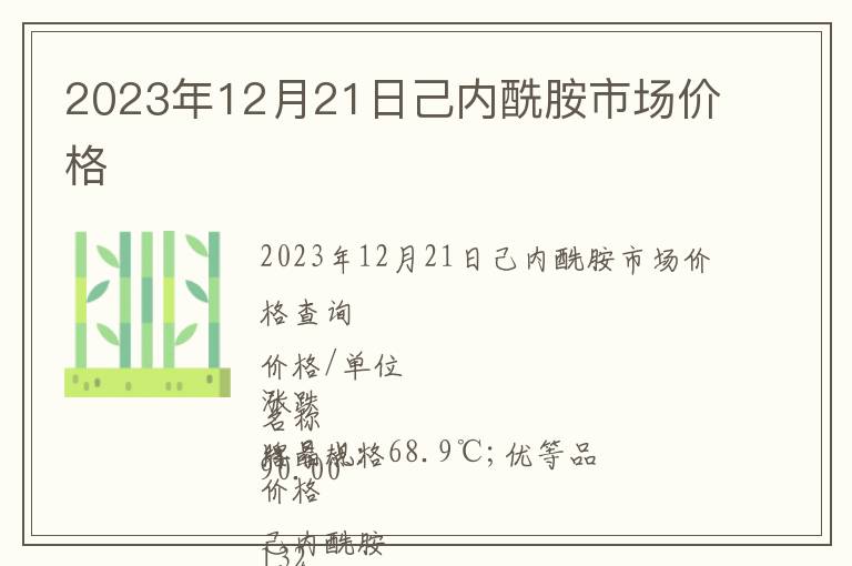2023年12月21日己內(nèi)酰胺市場價格