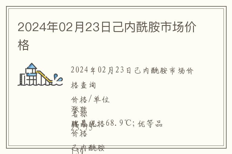 2024年02月23日己內(nèi)酰胺市場價格
