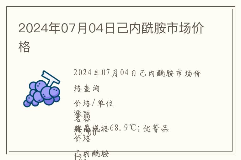 2024年07月04日己內酰胺市場價格