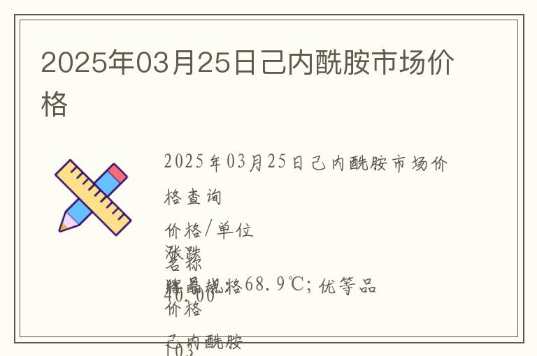 2025年03月25日己內酰胺市場價格