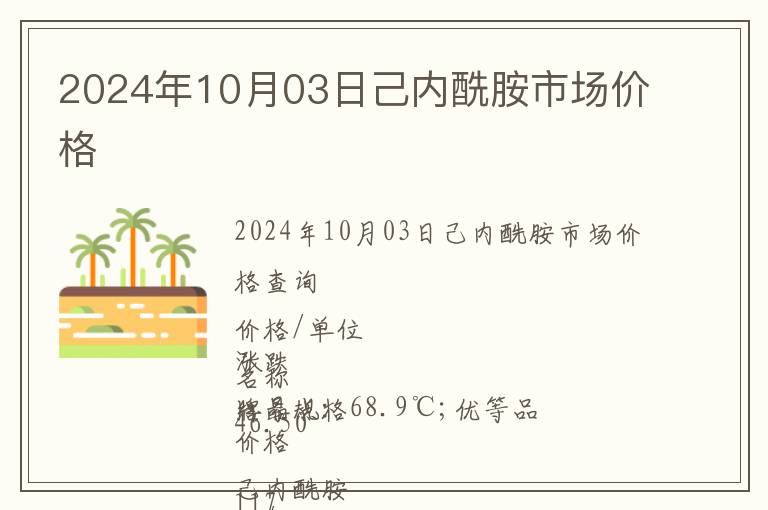 2024年10月03日己內酰胺市場價格