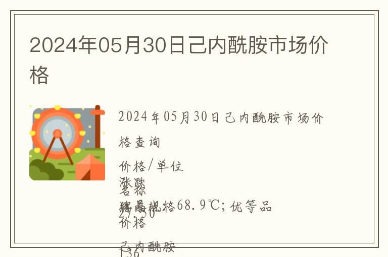 2024年05月30日己內酰胺市場價格