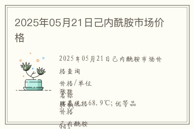 2025年05月21日己內酰胺市場價格