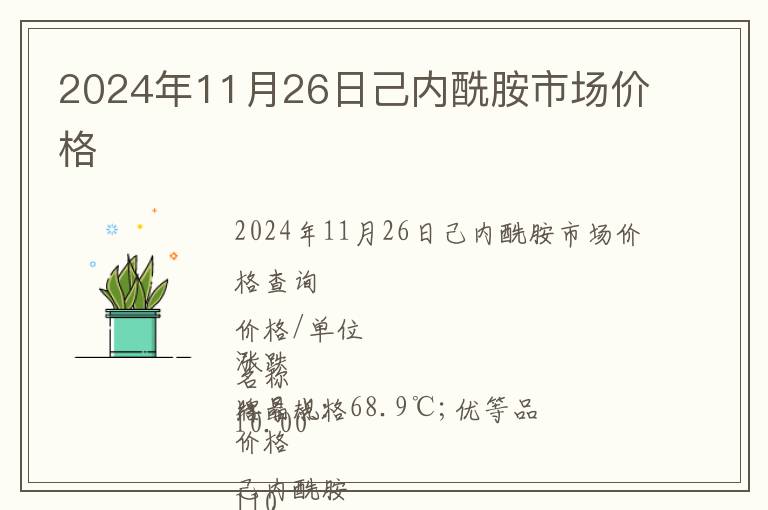 2024年11月26日己內(nèi)酰胺市場價(jià)格