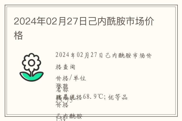 2024年02月27日己內酰胺市場價格