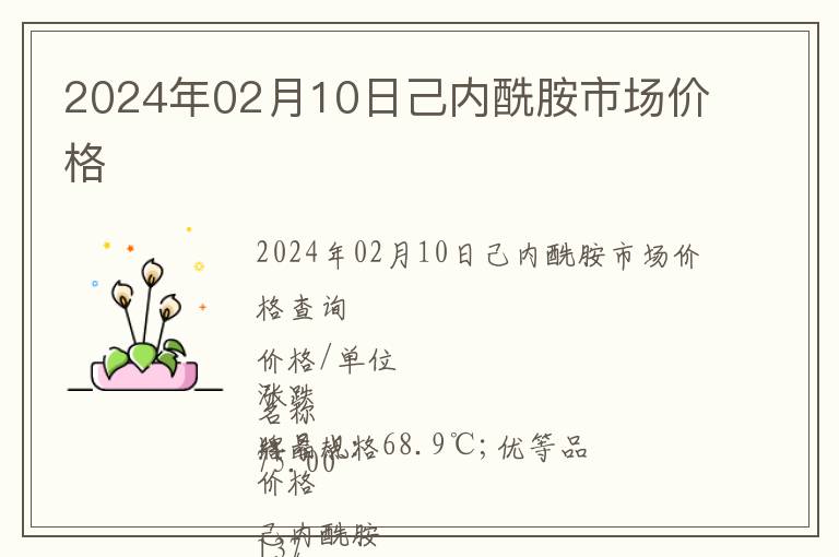 2024年02月10日己內酰胺市場價格