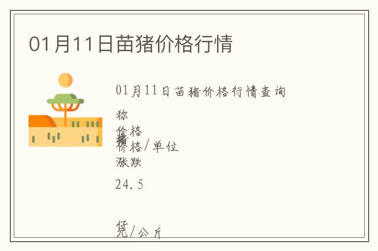 01月11日苗豬價(jià)格行情
