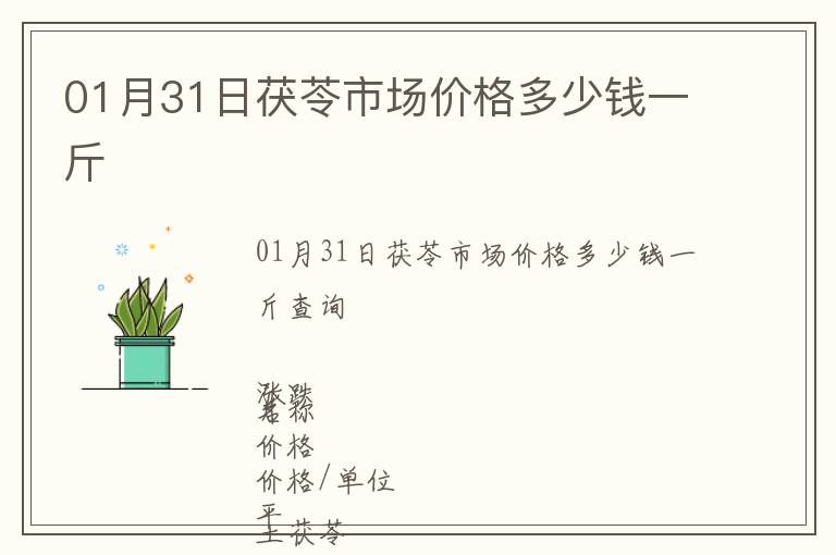 01月31日茯苓市場價格多少錢一斤