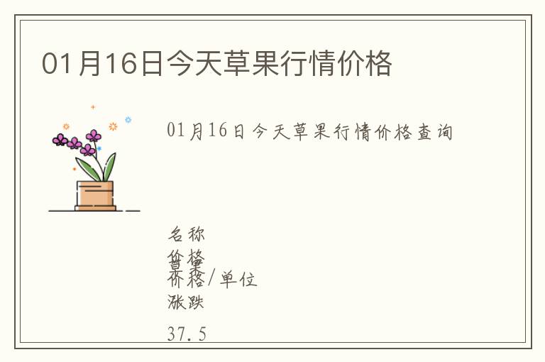 01月16日今天草果行情價格