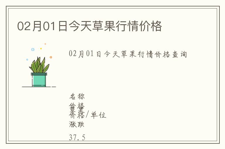 02月01日今天草果行情價格