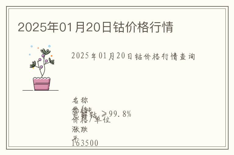 2025年01月20日鈷價格行情